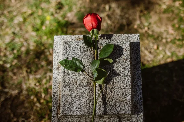 Une rose rouge posée sur une stèle en granit gris clair, au soleil, dans un cimetière.