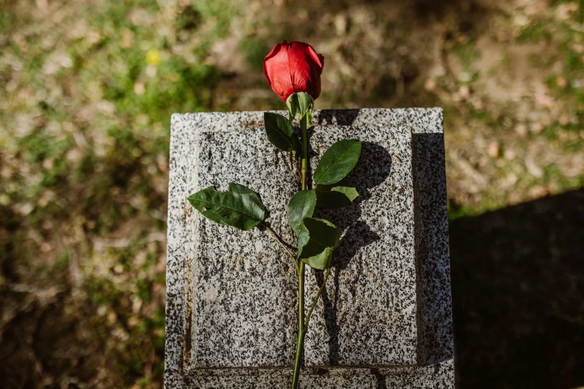 Une rose rouge posée sur une stèle en granit gris clair, au soleil, dans un cimetière.